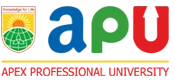 Institute of Research & Innovations | Apex Professional University